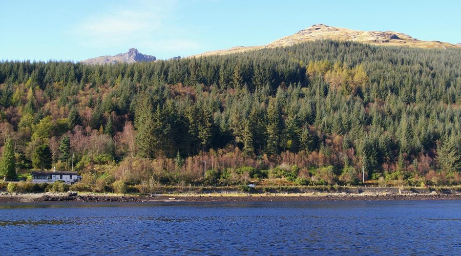 Goldberry Cottage B&B