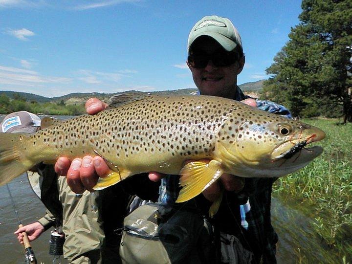 Cutthroat Anglers image