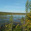 Things To Do in Tiny Marsh Provincial Wildlife Area, Restaurants in Tiny Marsh Provincial Wildlife Area