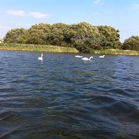 view from the boat
