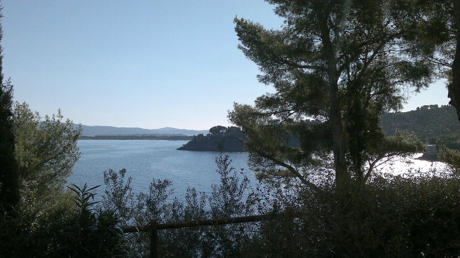 Ecco la vista dalla camera
