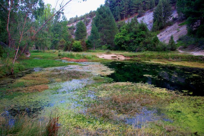 Imagen 2 de Monumento Natural De La Fuentona