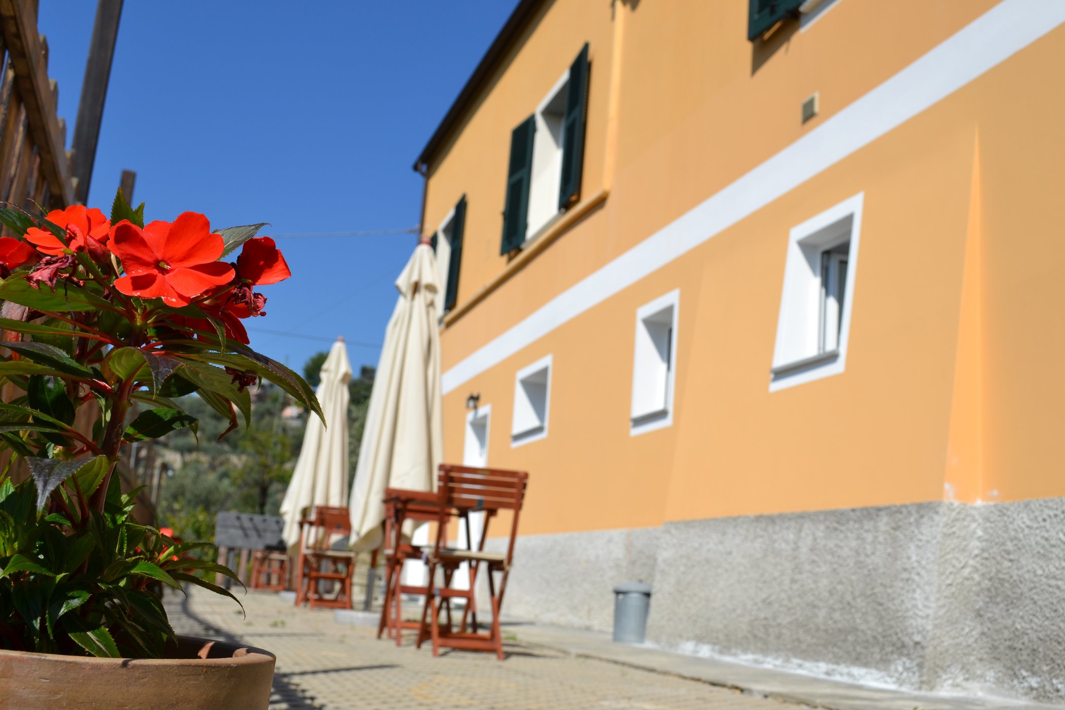 Bed & Breakfast Campagna Casagrande image