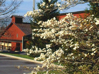 Simonton's Cheese House, Crossville, TN