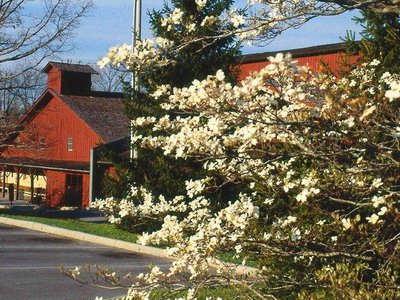 Simonton's Cheese House, Crossville, TN