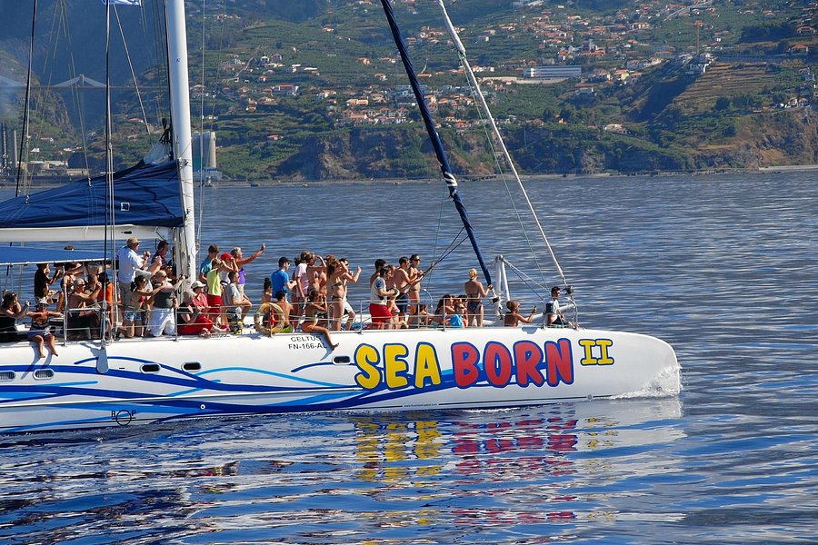catamaran madeira sea the best
