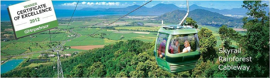 half day tours port douglas