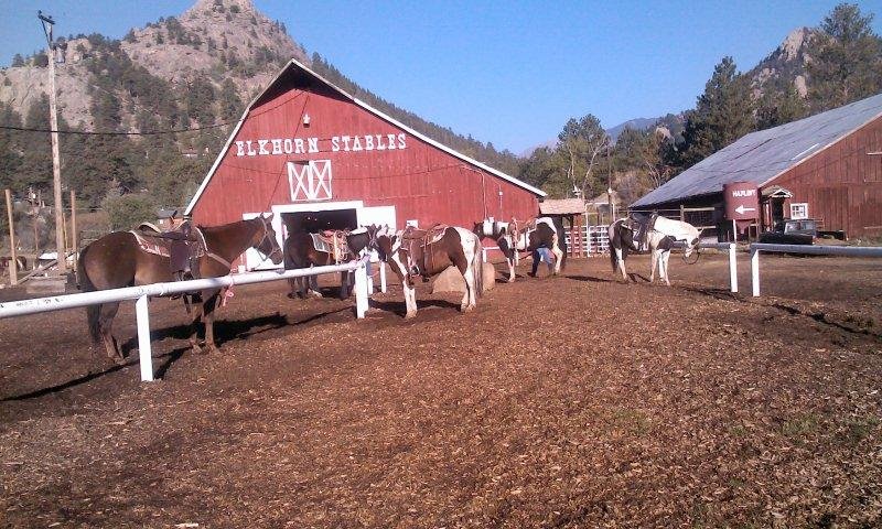 Estes Park Horseback Aktuelle 2022 Lohnt Es Sich Mit Fotos   Stable 