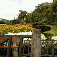 nice plave to viseted