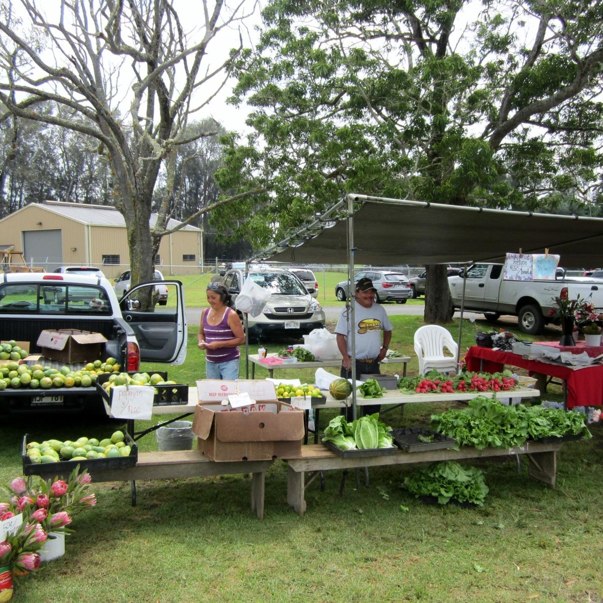 Waimea Homestead Farmers Market - All You Need to Know BEFORE You Go 