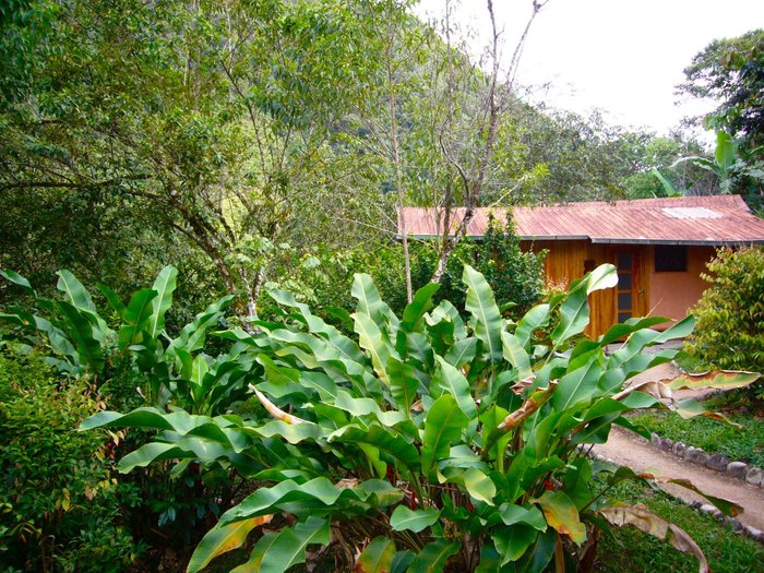 COPALINGA: 2023 Reviews (Zamora, Ecuador) - Photos of Lodge - Tripadvisor