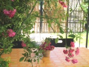 gazebo