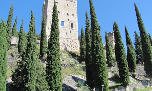From the entrance
