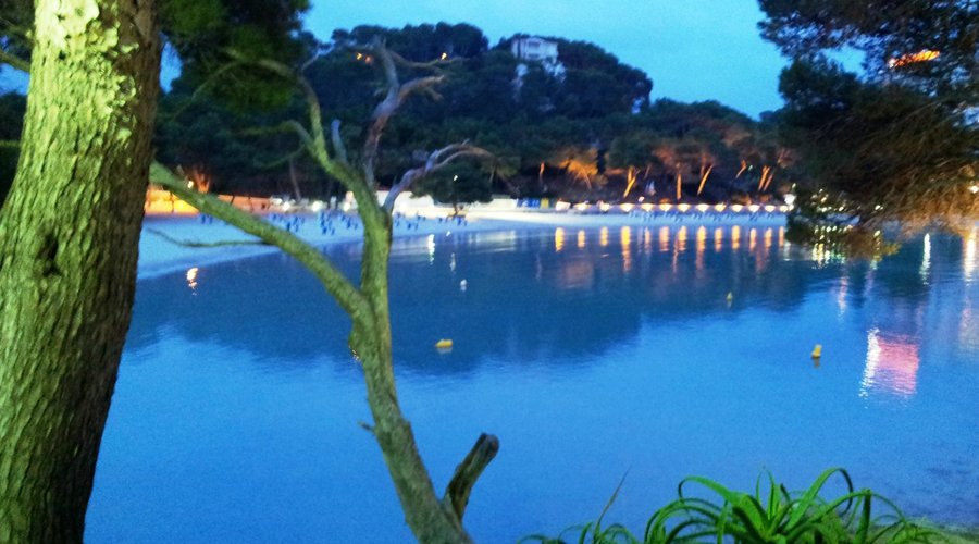 wonderfull - this is the cove by night

