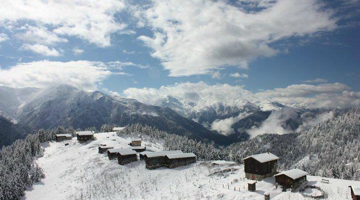 Pokut Yaylası