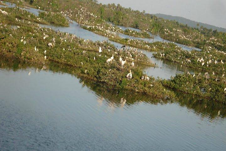 Vedanthangal Bird Sanctuary image
