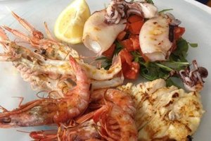 Cibo