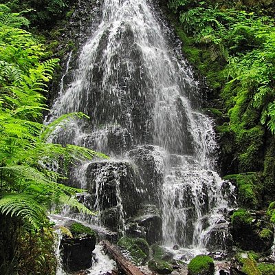 The Best Outdoor Activities In Bridal Veil Tripadvisor The Best Outdoor Activities In Bridal Veil Tripadvisor