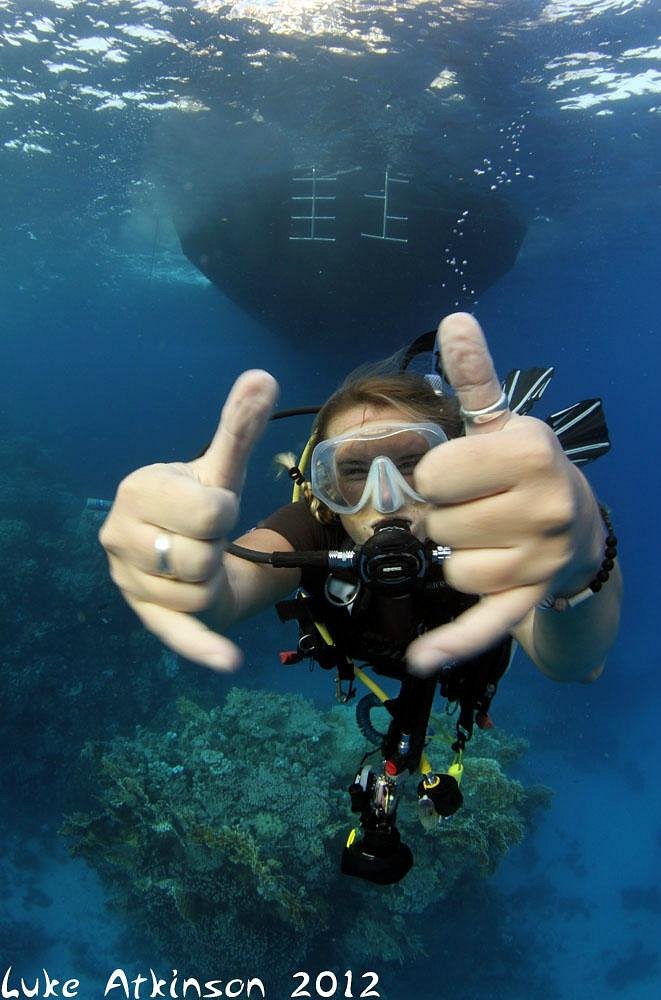 Emperor Divers (Marsa Alam) - All You to BEFORE You Go