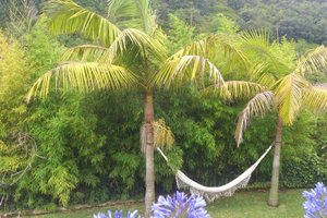 Piscina e praia