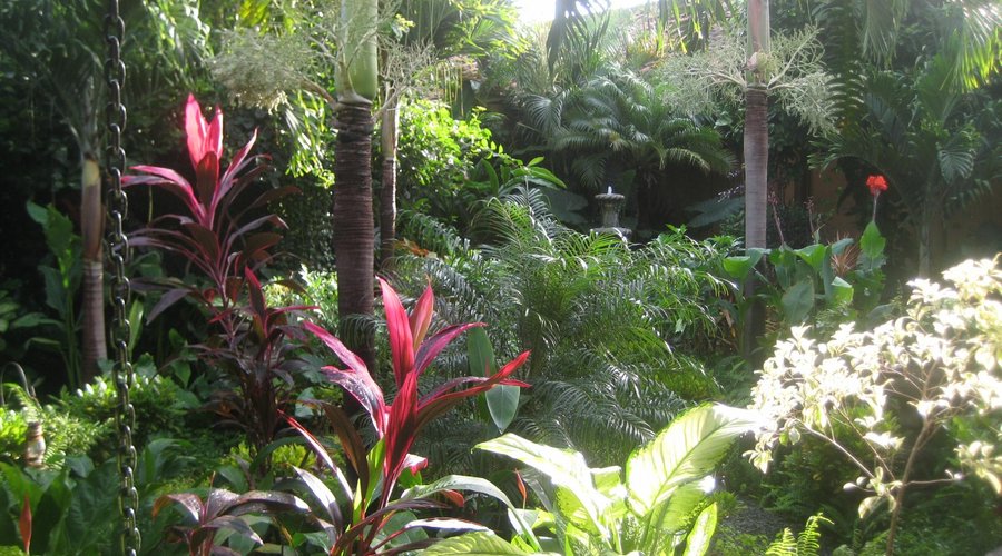 Our Garden