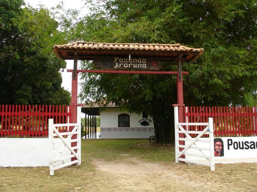 Instituicao Caruanas do Marajo Cultura e Ecologia - All You Need to Know  BEFORE You Go (with Photos)