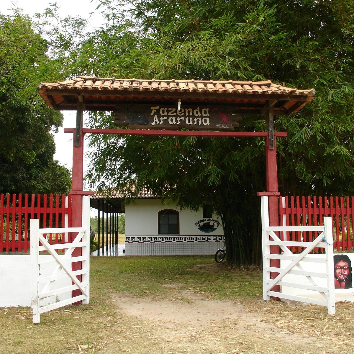 O nome das coisas: Passeio na fazenda