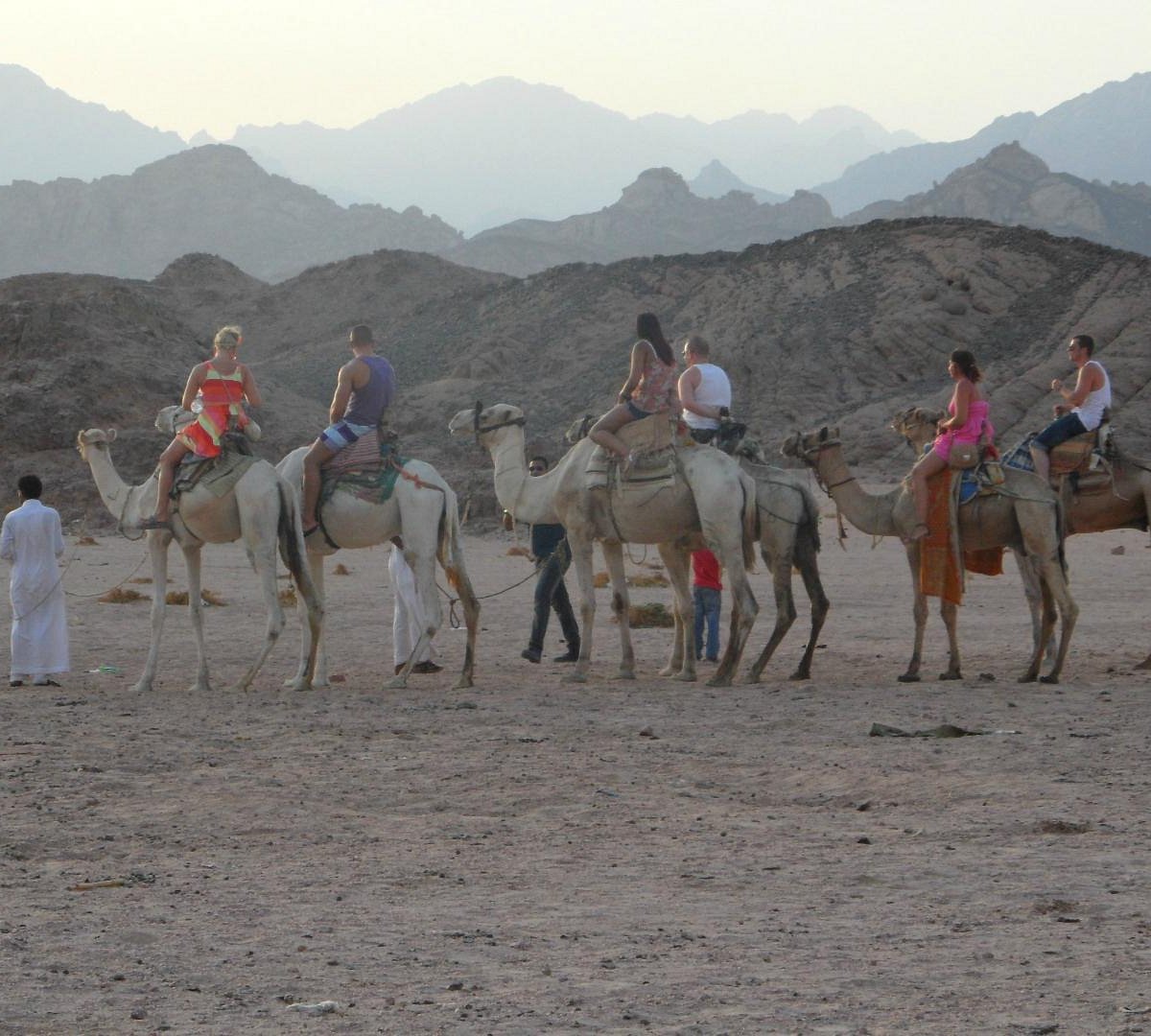 Сафари 2024. Сафари Шарм-Эль-Шейх. Sharm el Sheikh Safari. Мега сафари Шарм-Эль-Шейх. Египет сафари по югу.