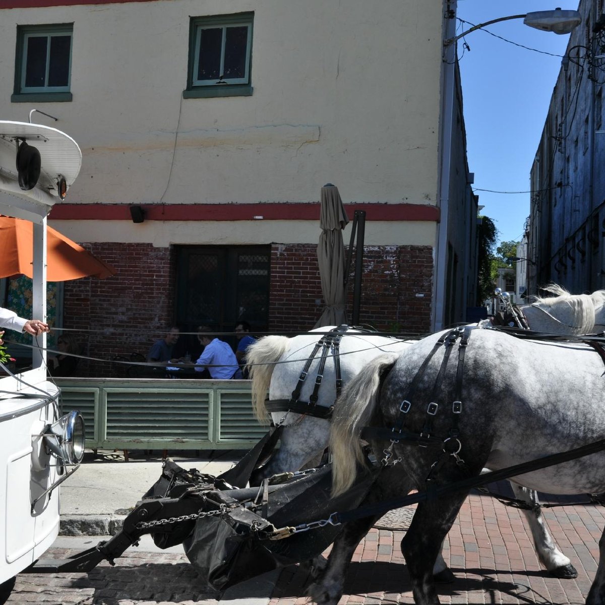 horse tour wilmington nc