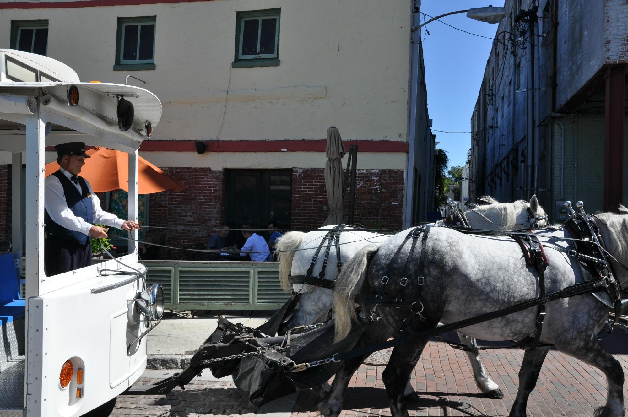 Springbrook Farms Horsedrawn Tours (Wilmington) All You Need to Know