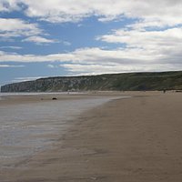 Speeten and Bempton Cliffs