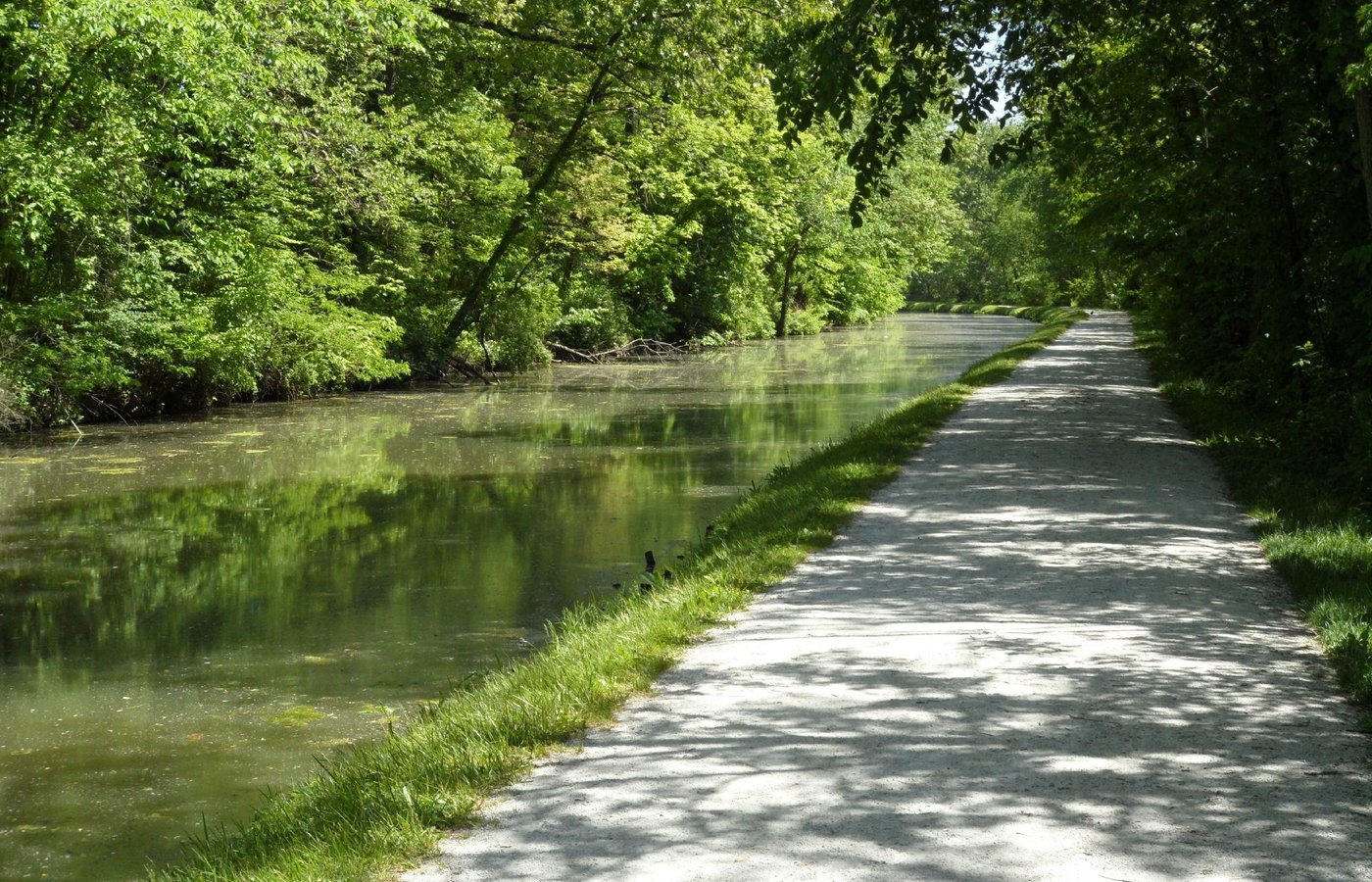 Canal Fulton Canal Days 2024 - Elene Hedvige