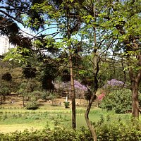 Parque da Aclimação