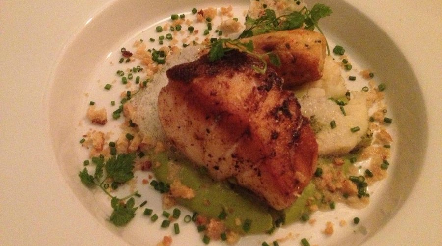                   cod fish with lobster sausage and cream of pea sauce

                