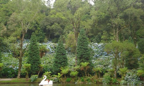 Vista Lago Negro
