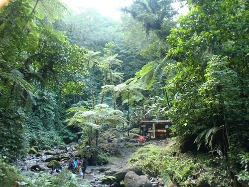 Martinique Regional Nature Park in Martinique - Tours and Activities