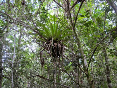 Old Man Bay, Cayman Islands: All You Must Know Before You Go (2024 ...