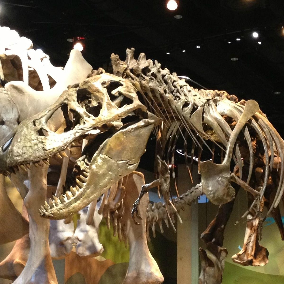 Perot Museum Of Nature And Science Tx
