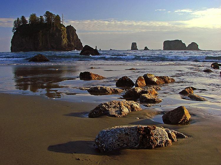 Olympic national park coast backpacking best sale