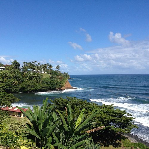 THE 10 BEST Free Things to Do in Hilo (Updated 2024) - Tripadvisor