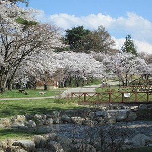 松本市10 大景点玩乐 Tripadvisor 松本市10 大景点玩乐 Tripadvisor