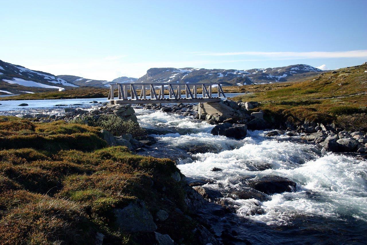 Hardangervidda multi 2024 day hike