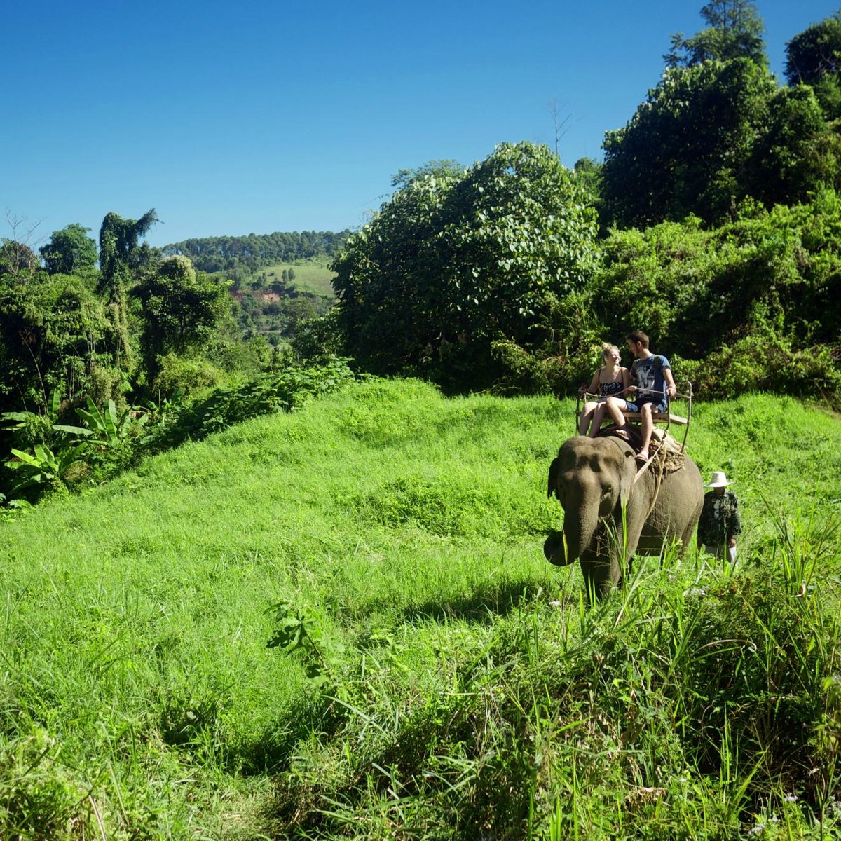 Elephant Riding Chiang Mai - All You Need to Know BEFORE You Go