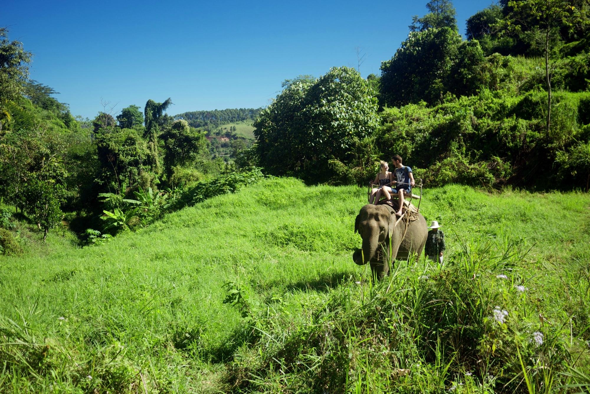 Elephant Riding Chiang Mai - All You Need to Know BEFORE You Go (2024)