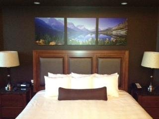 Grizzly Suite