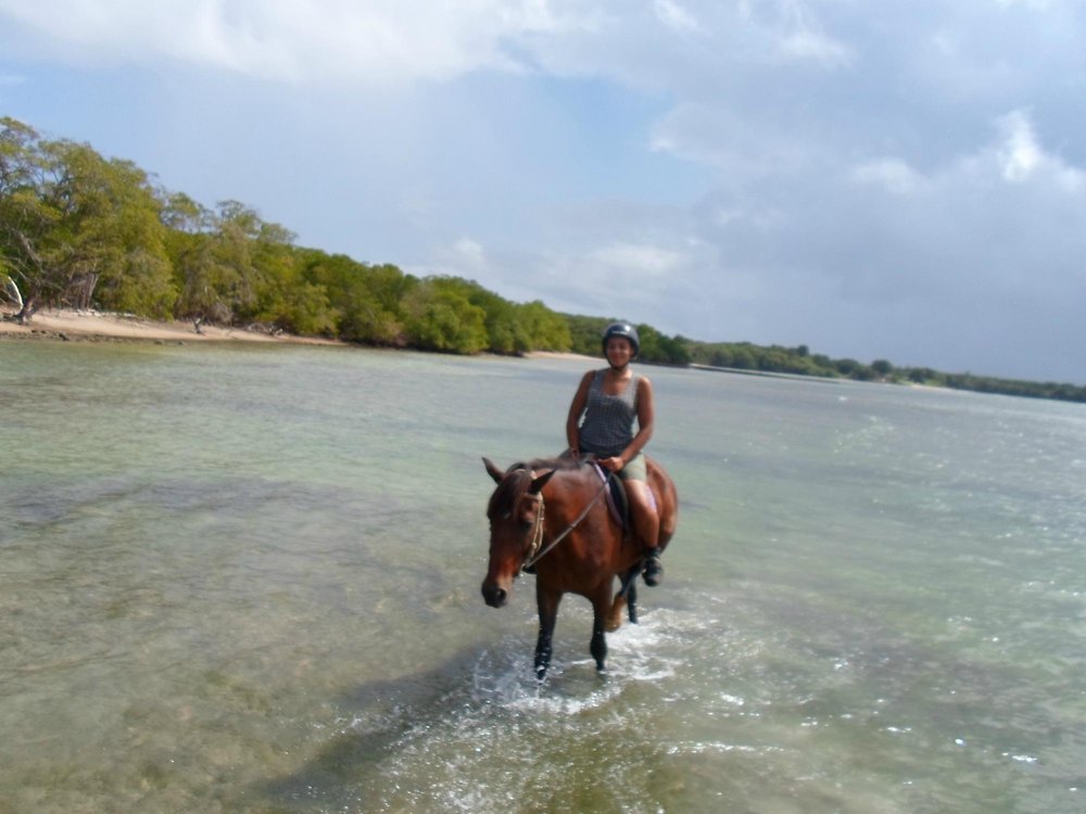 THE 5 BEST Trinidad and Tobago Horseback Riding Tours (2024)