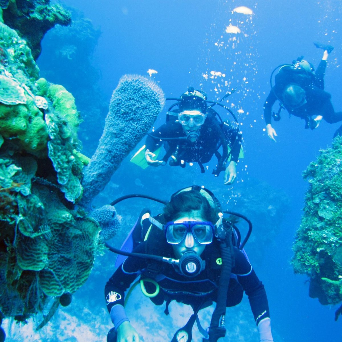 cancun scuba center