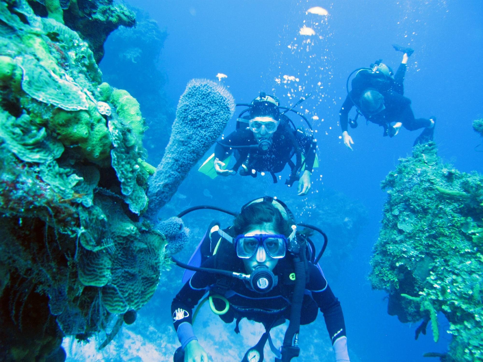 scuba diving center cancun