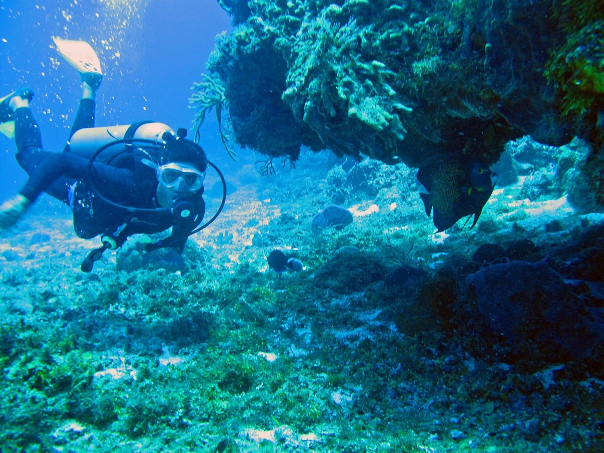 cancun scuba center