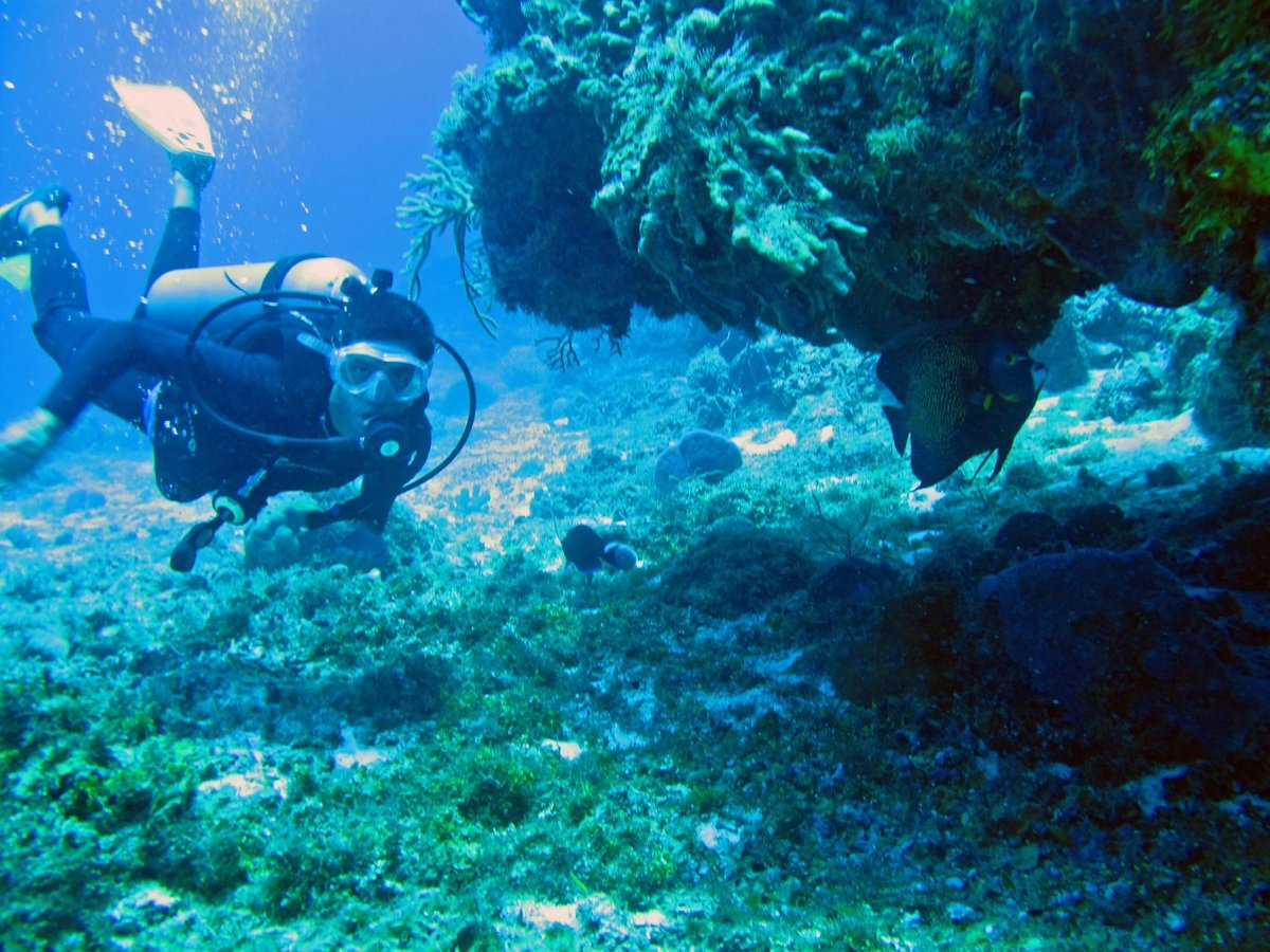 cancun scuba center